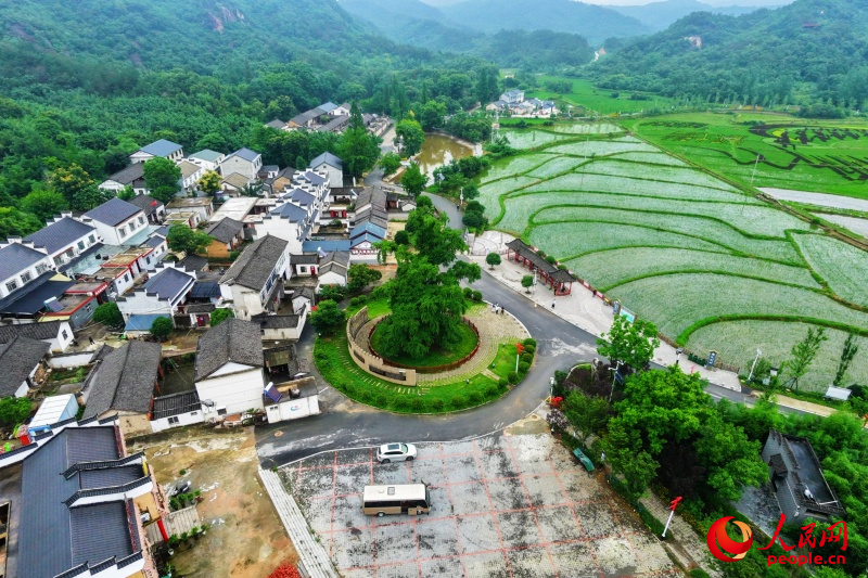 何家冲村貌。人民网记者 戴泽鑫摄